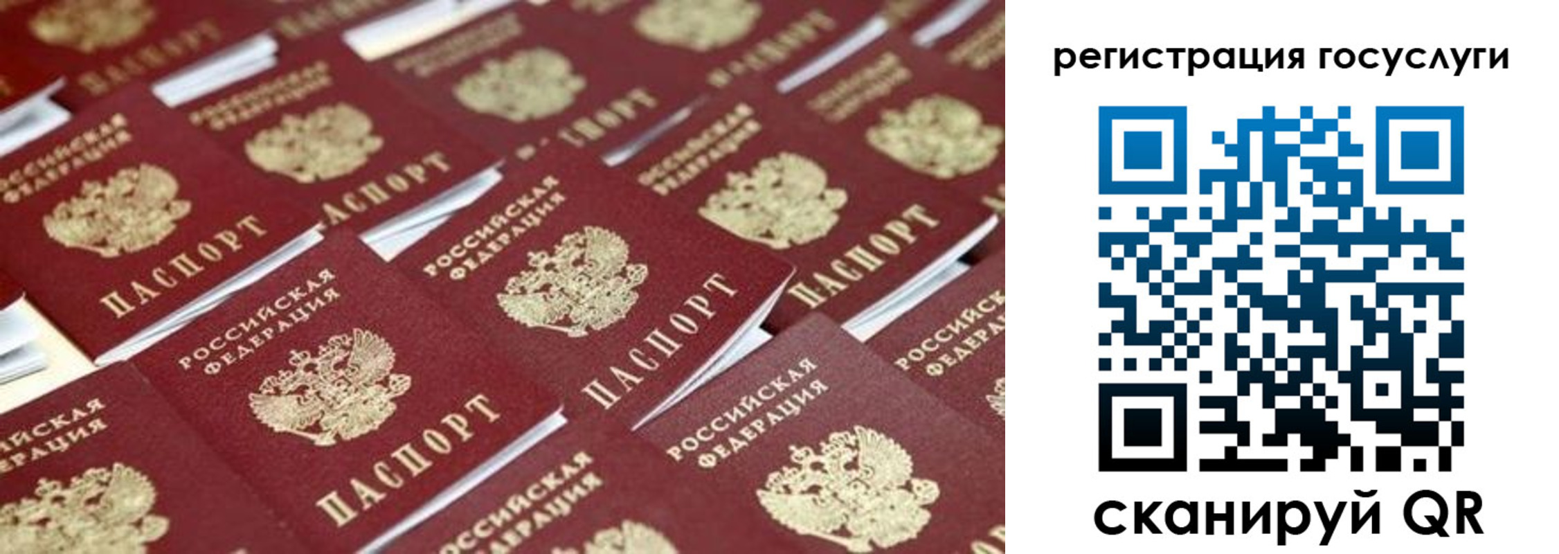 прописка ребенка в Белгороде
